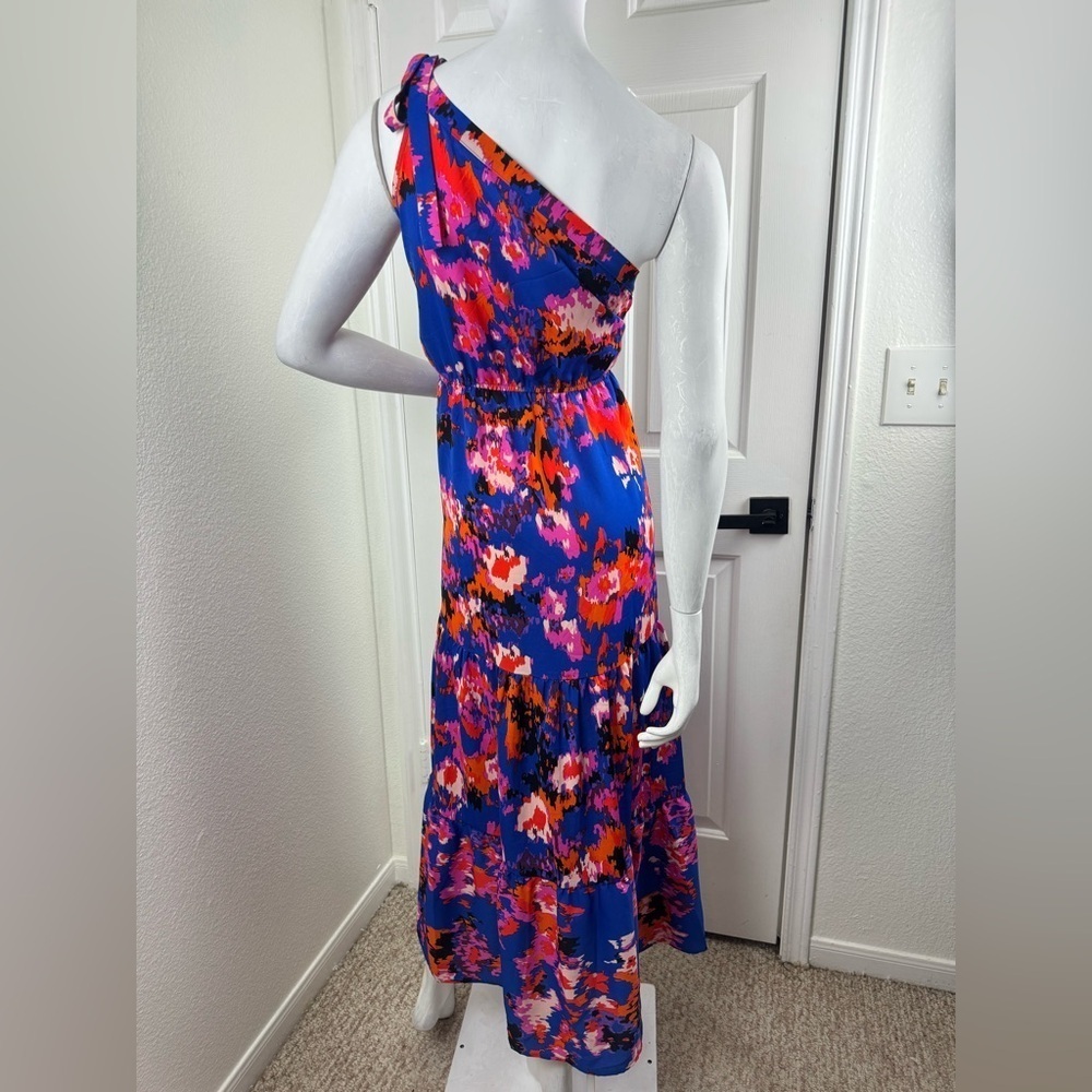 Pretty Garden Floral Maxi Dress in Blue and Red Size Large I#107 - Picture 5 of 12